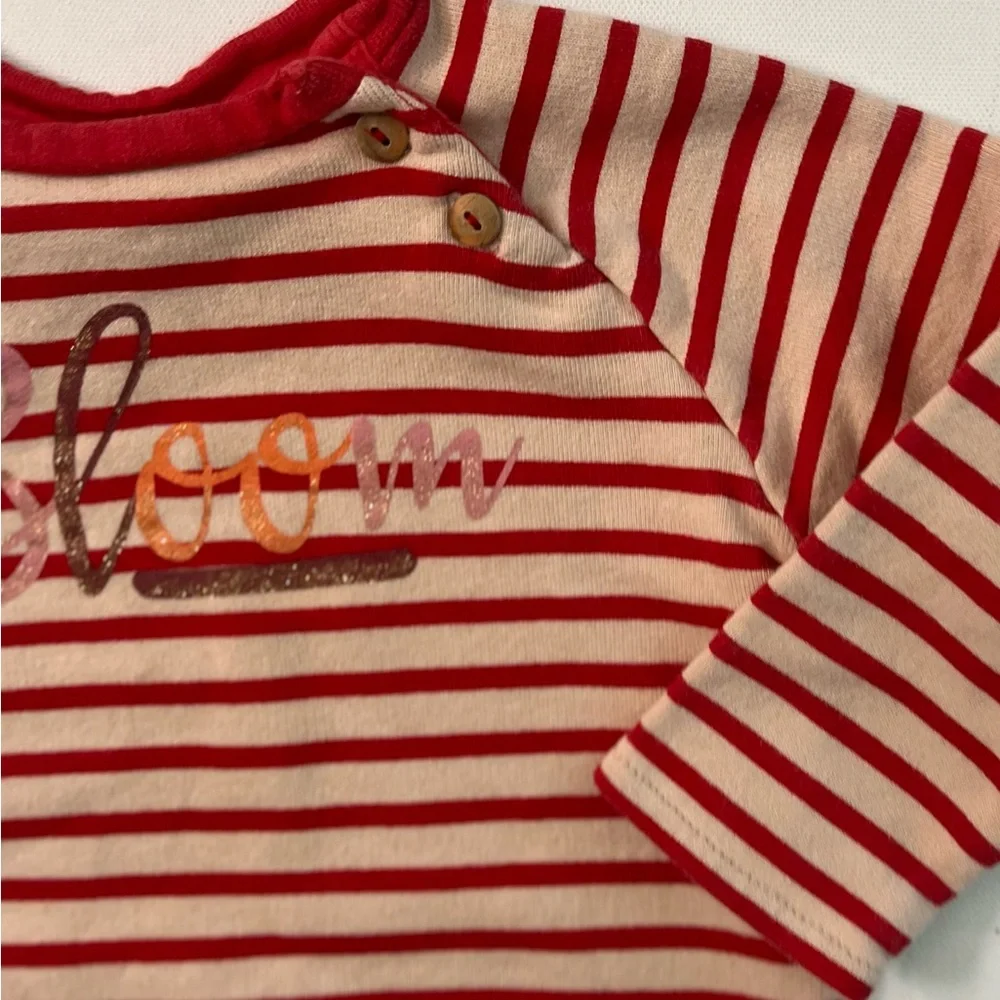 Zara Baby Girl Striped “Bloom “ Sweatshirt